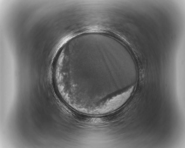 X0000103961463200810031154