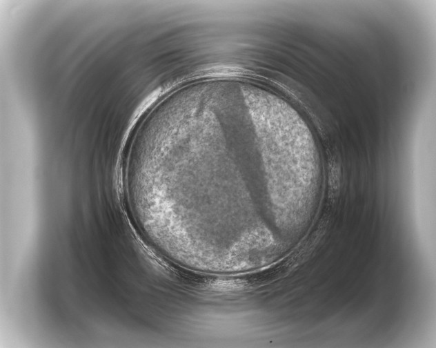 X0000103961466200810031154