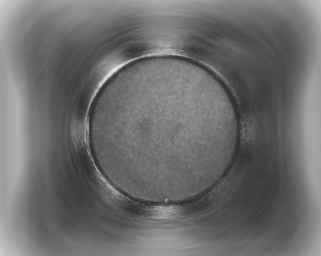 X0000103961468200810031154