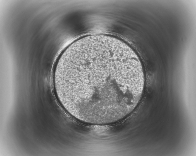 X0000103961469200810031154