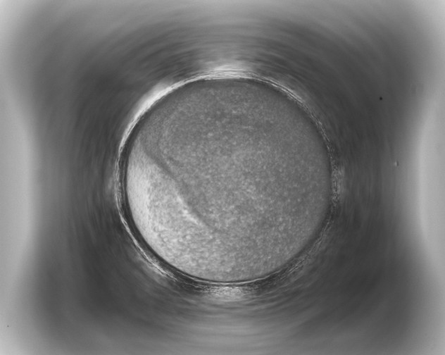 X0000103961470200810031154
