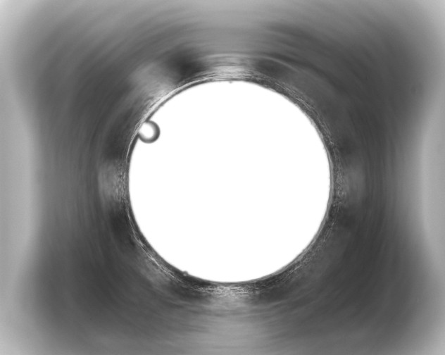 X0000103961473200810031154