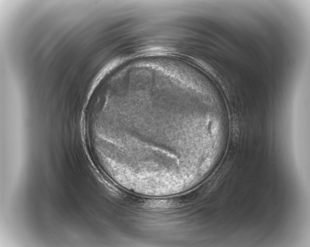 X0000103961474200810031154