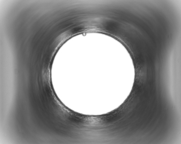 X0000103961476200810031154