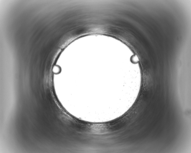 X0000103961477200810031154