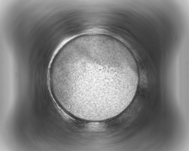X0000103961478200810031154