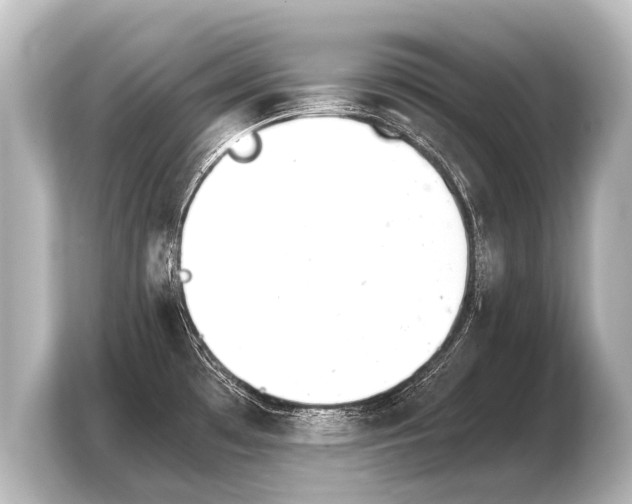X0000103961481200810031154