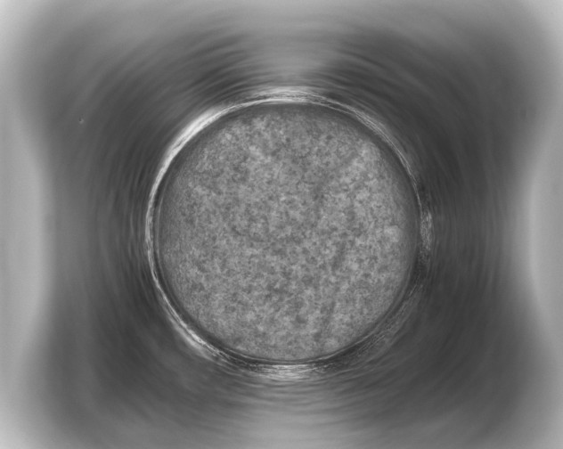 X0000103961482200810031154
