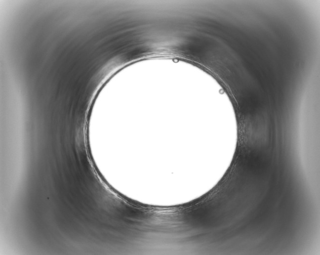 X0000103961484200810031154