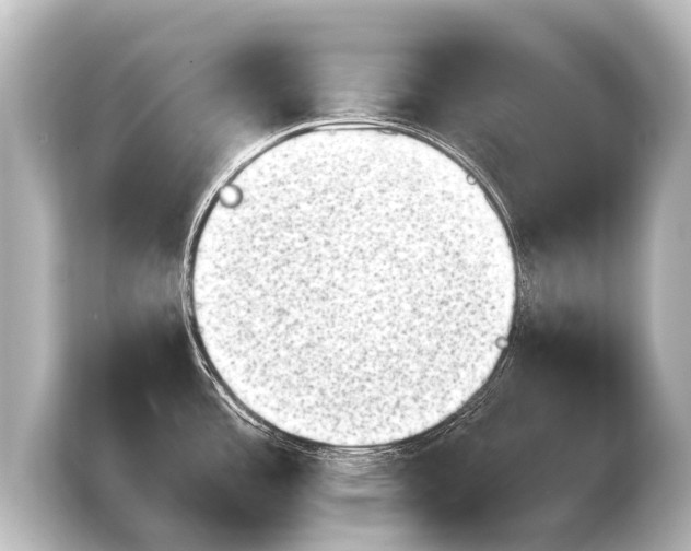 X0000103961485200810031154