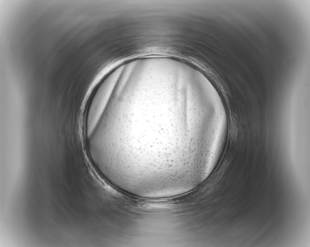 X0000103961486200810031154