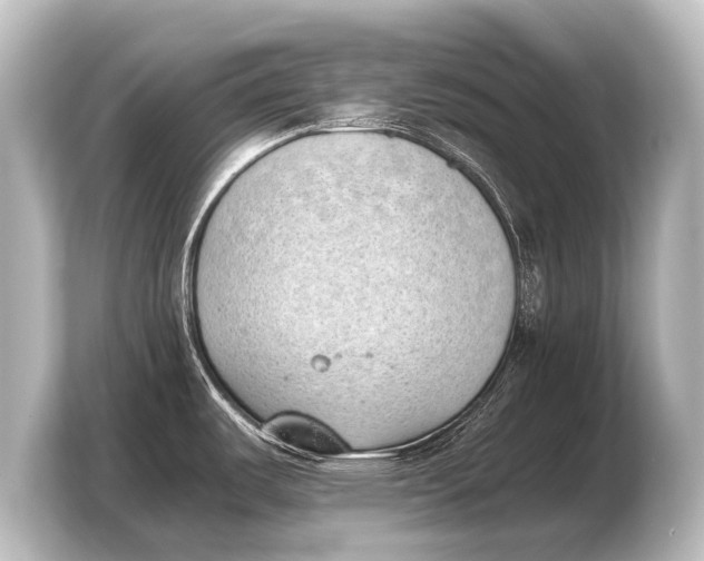 X0000103961487200810031154