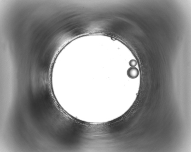 X0000103961488200810031154