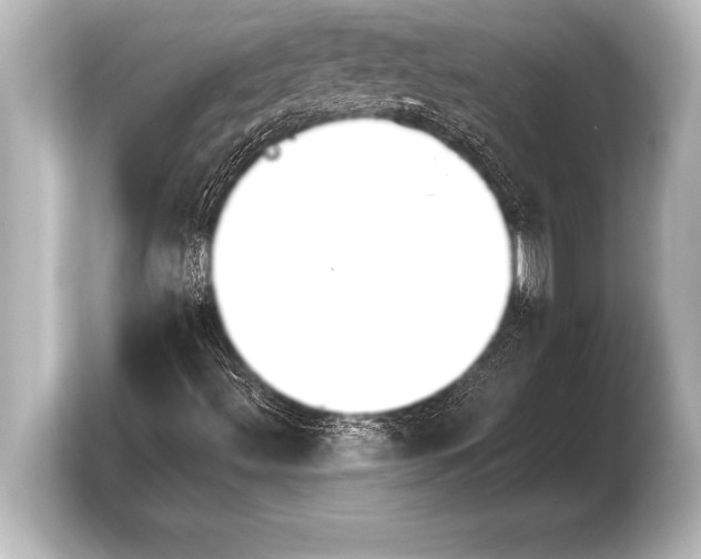 X0000103961492200810031153