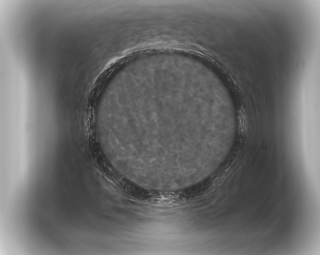 X0000103961494200810031153