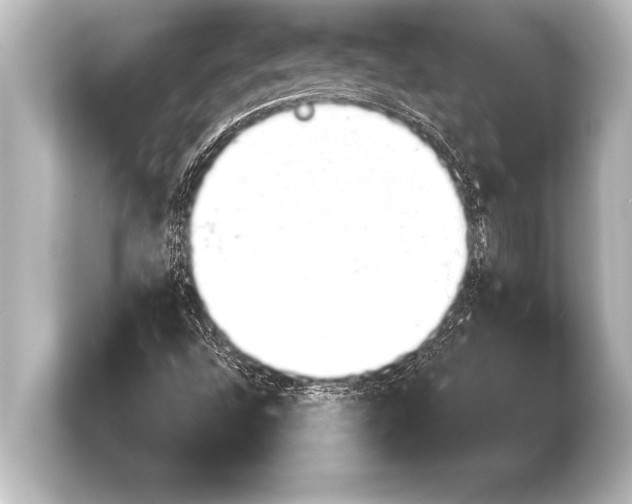 X0000103961496200810031153
