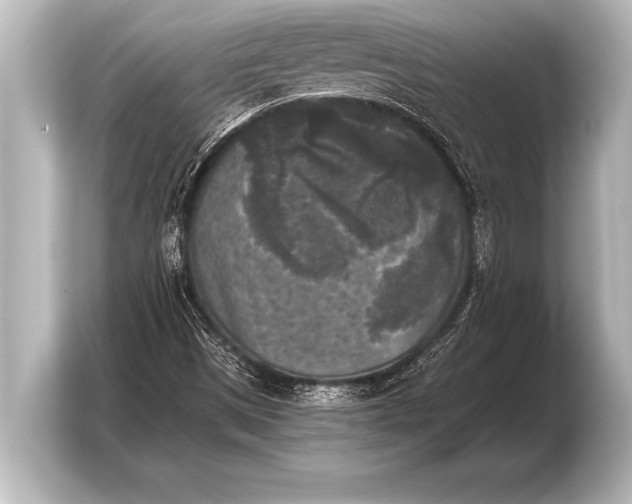 X0000103961497200810031153