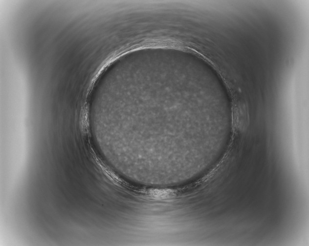 X0000103961498200810031153