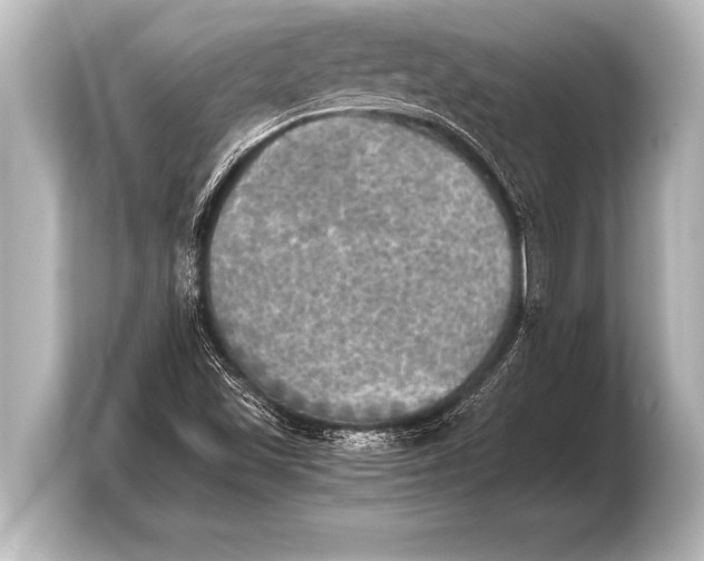 X0000103961501200810031153