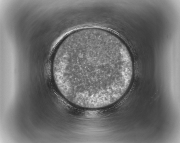 X0000103961502200810031153