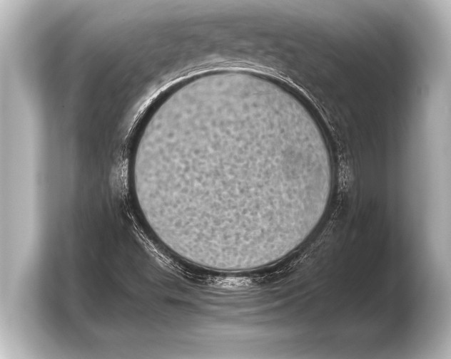X0000103961503200810031153