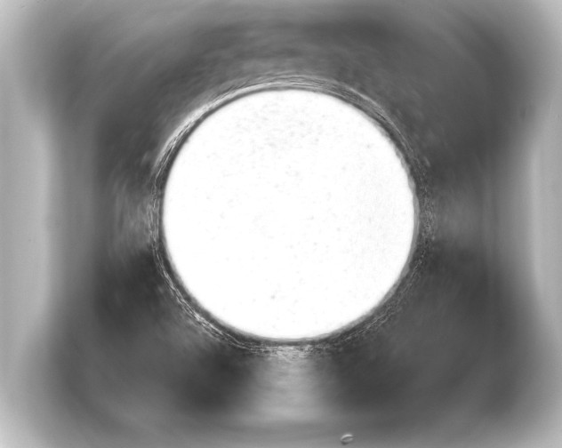 X0000103961504200810031153