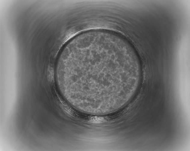 X0000103961505200810031153