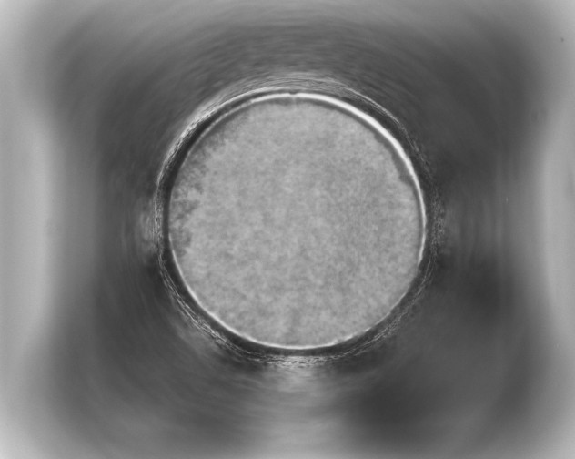 X0000103961506200810031153