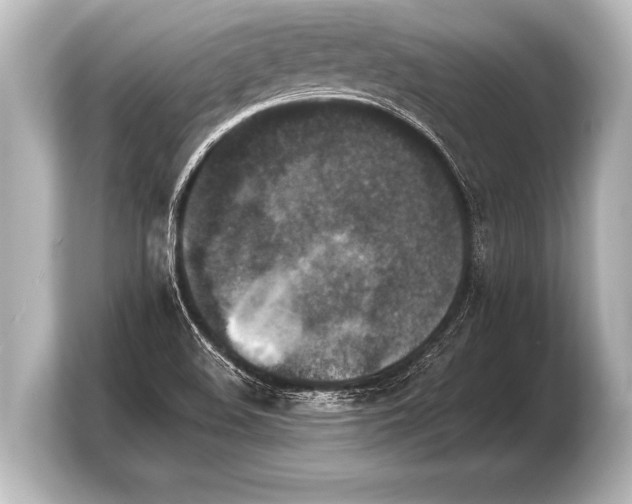 X0000103961508200810031153