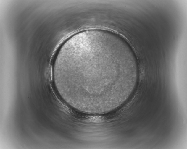 X0000103961509200810031153
