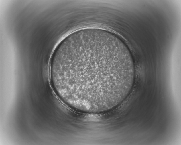 X0000103961514200810031153