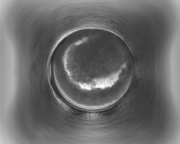 X0000103961515200810031153