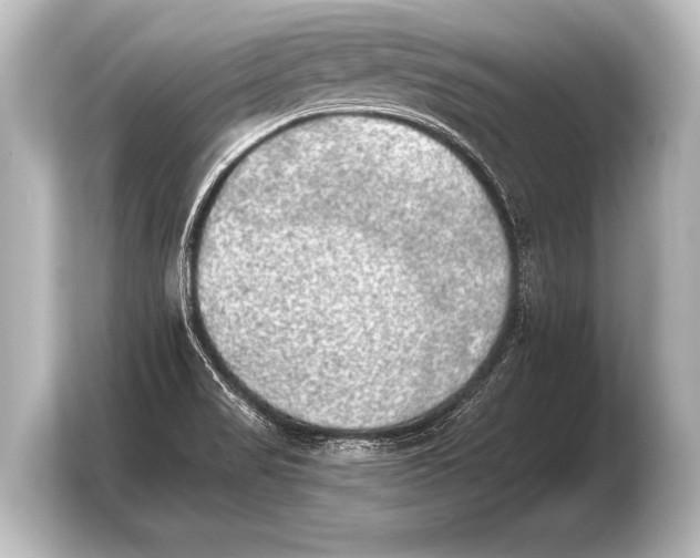 X0000103961517200810031153
