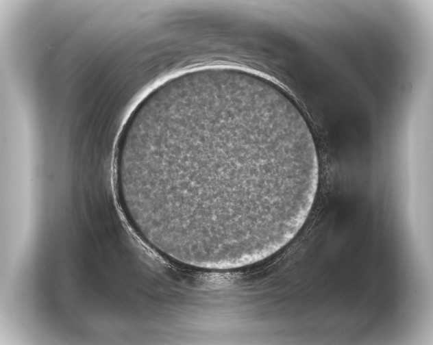 X0000103961518200810031153