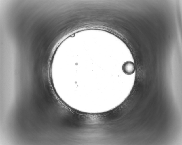 X0000103961520200810031153