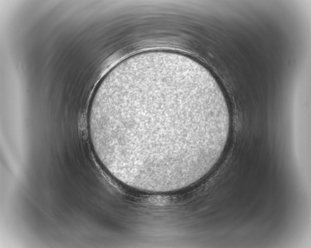 X0000103961521200810031154