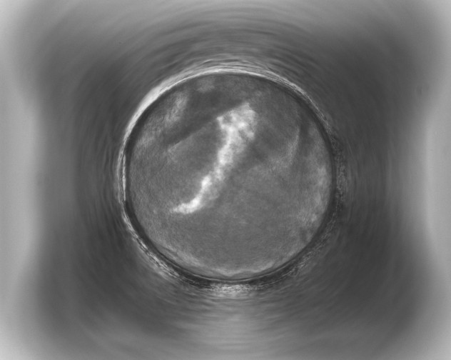 X0000103961522200810031154