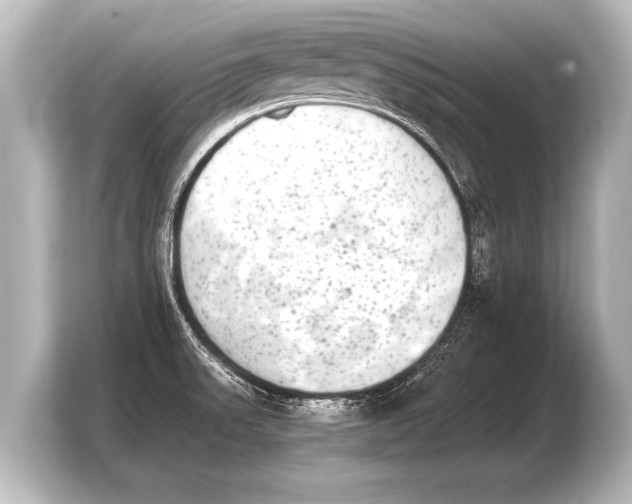 X0000103961523200810031154