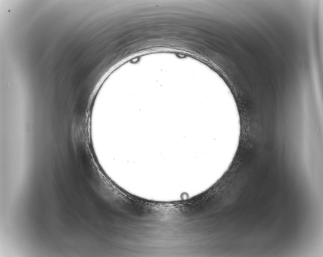 X0000103961524200810031154