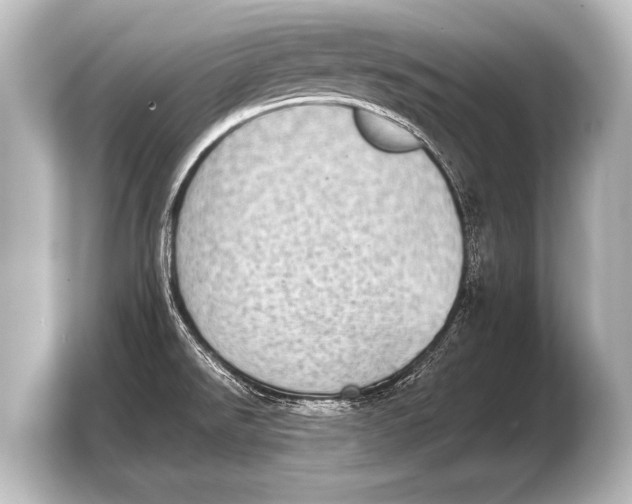 X0000103961526200810031154