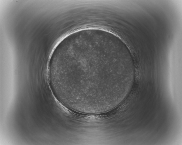 X0000103961527200810031154