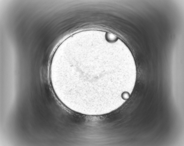 X0000103961528200810031154
