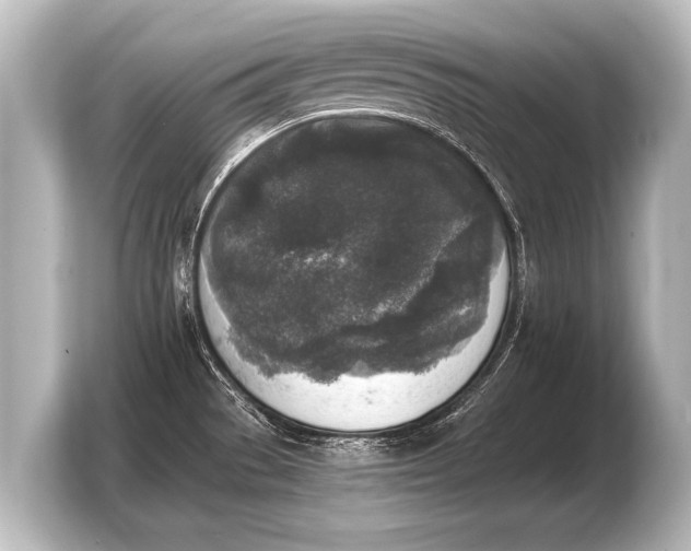 X0000103961529200810031154