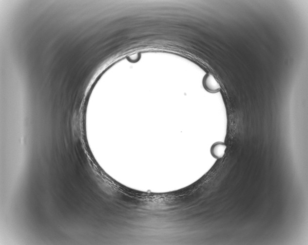 X0000103961530200810031154