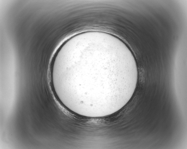 X0000103961531200810031154