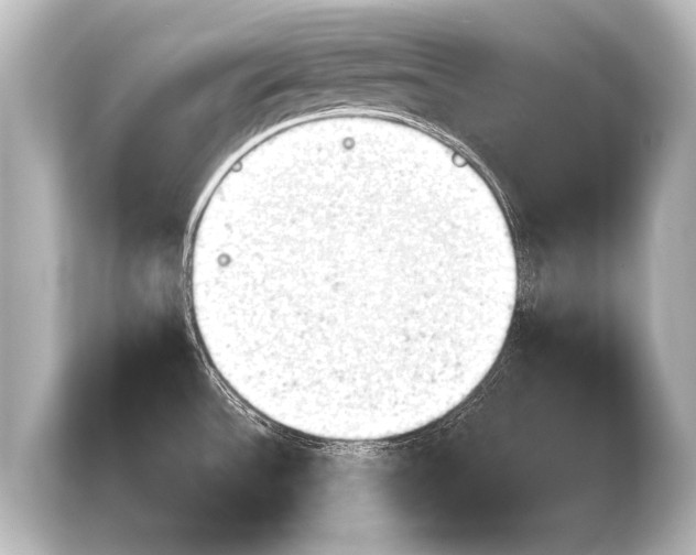 X0000103961532200810031154