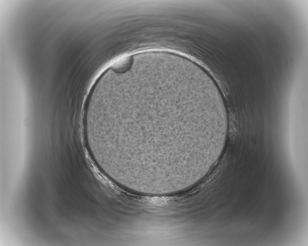 X0000103961534200810031154