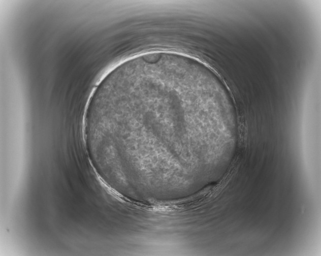 X0000103961535200810031154