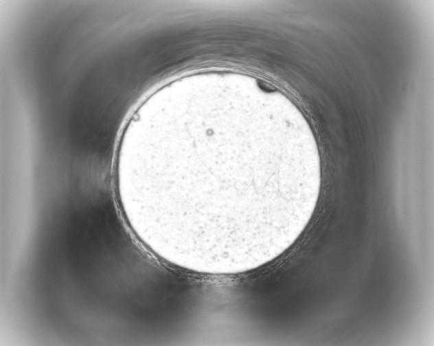X0000103961536200810031154