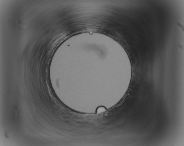 X0000103960001200810101255